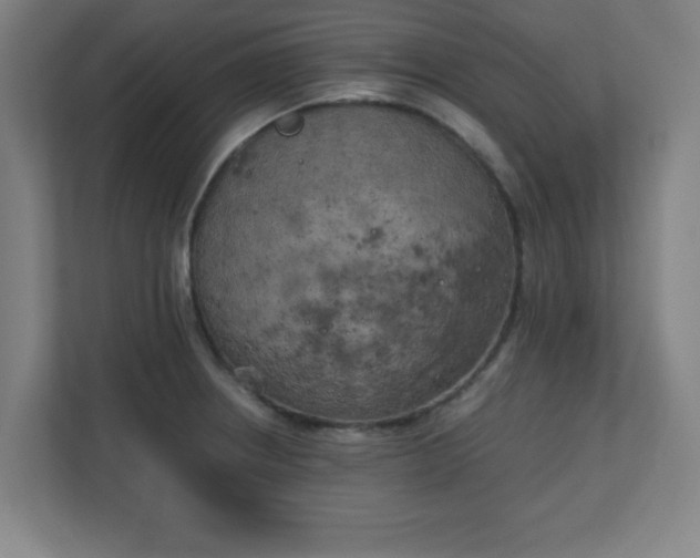 X0000111151234200907071102