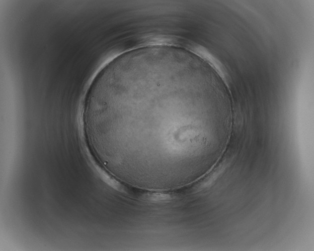 X0000111151235200907071102