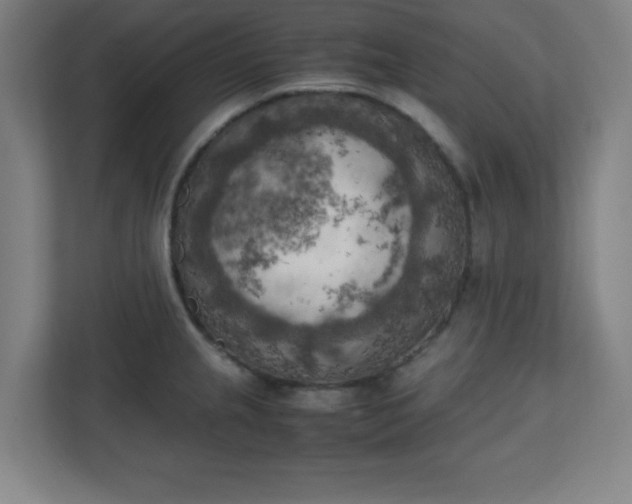 X0000111151237200907071102