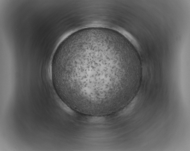 X0000111151238200907071102