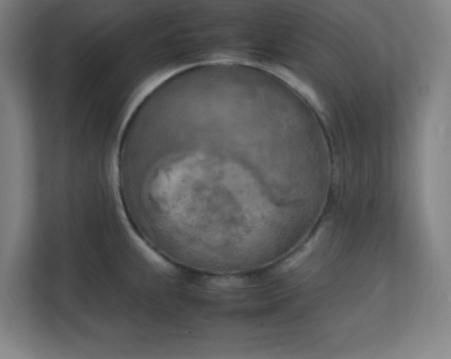 X0000111151239200907071102