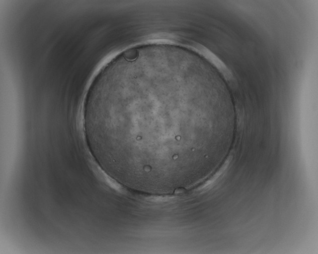 X0000111151240200907071102