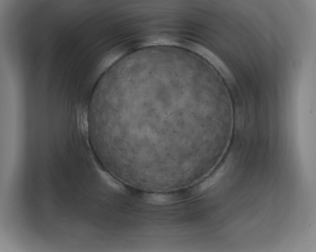 X0000111151241200907071102
