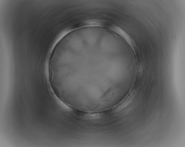 X0000111151243200907071102