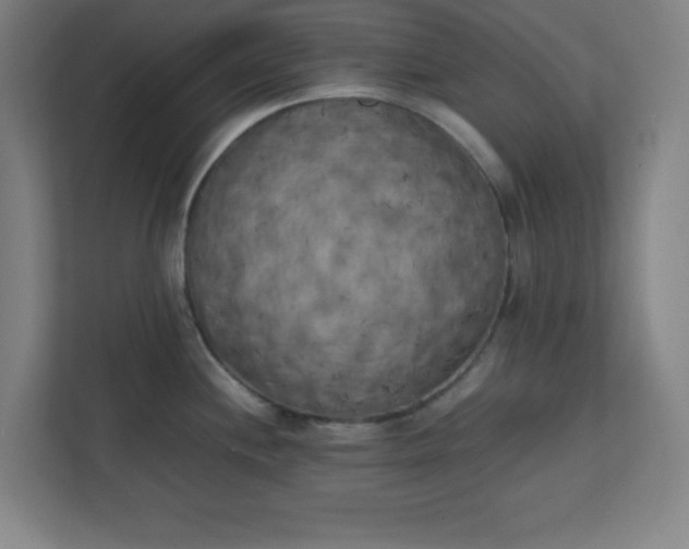 X0000111151244200907071102