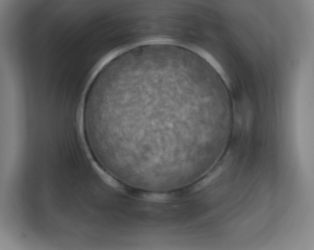 X0000111151245200907071102