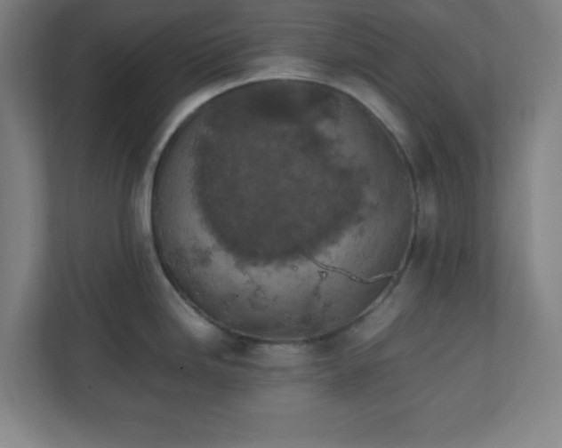X0000111151246200907071102