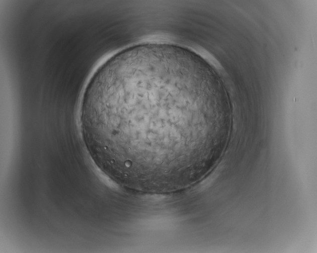 X0000111151248200907071102