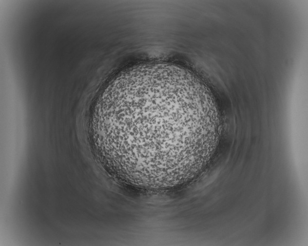 X0000111151249200907071102