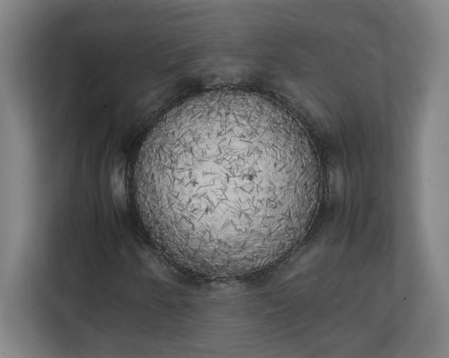 X0000111151250200907071102