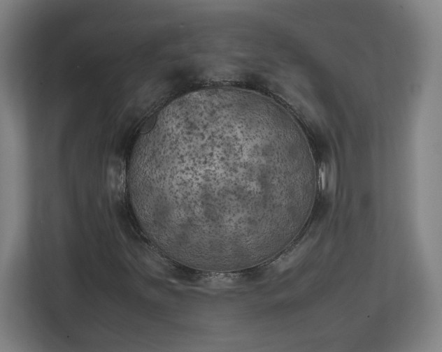 X0000111151251200907071102