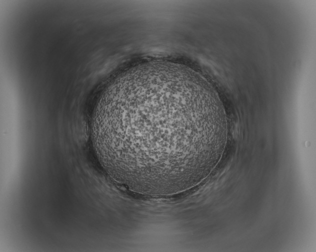 X0000111151253200907071102