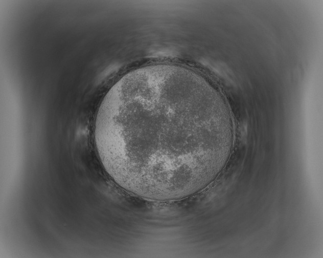 X0000111151254200907071102