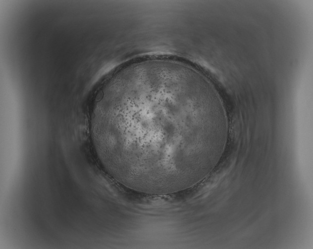 X0000111151255200907071102