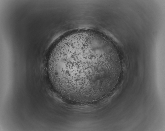 X0000111151256200907071102