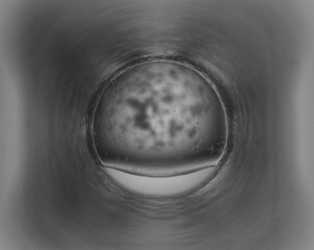 X0000111151257200907071102