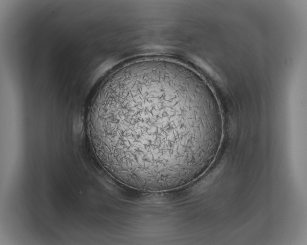 X0000111151259200907071102