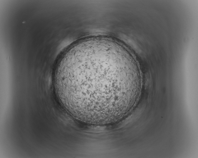 X0000111151261200907071102