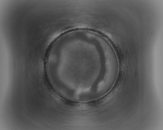 X0000111151263200907071102