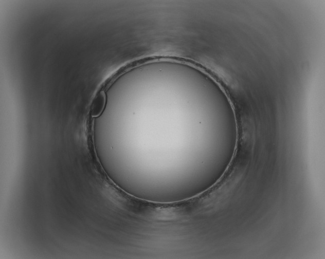 X0000111151264200907071102