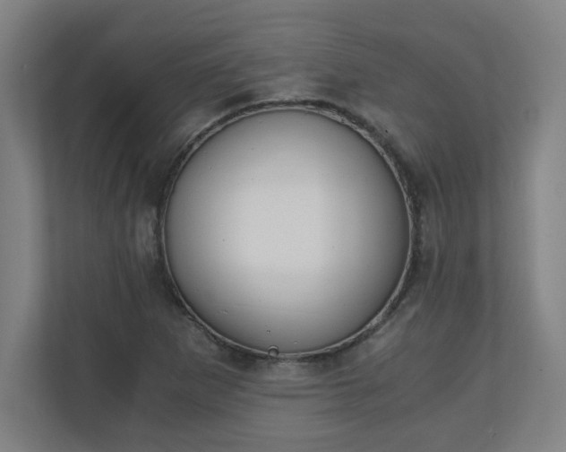 X0000111151265200907071102