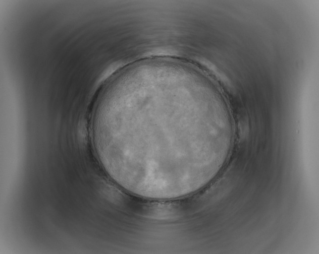 X0000111151266200907071102