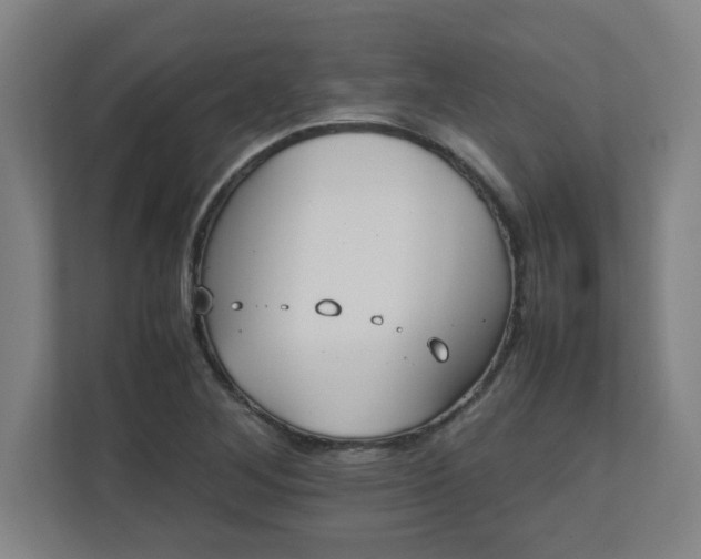 X0000111151268200907071102