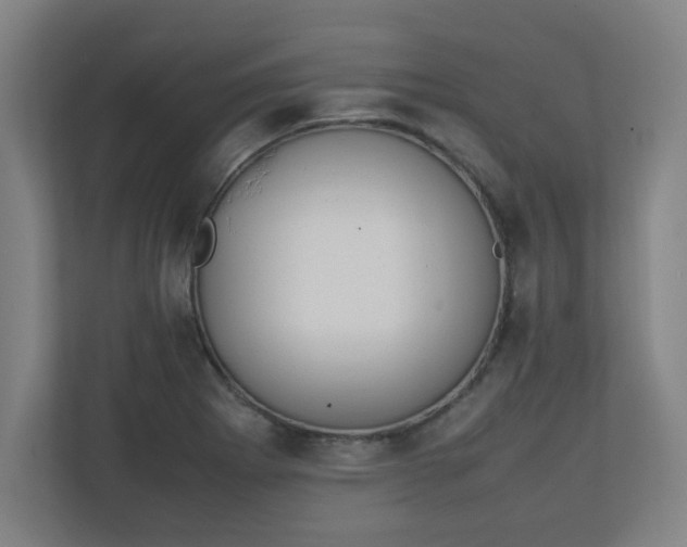 X0000111151273200907071101