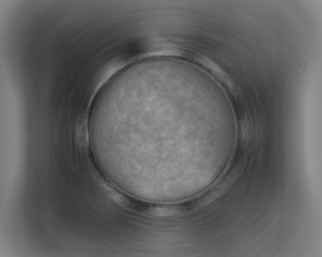 X0000111151274200907071101