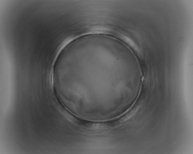 X0000111151275200907071101