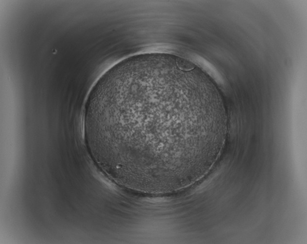 X0000111151276200907071101