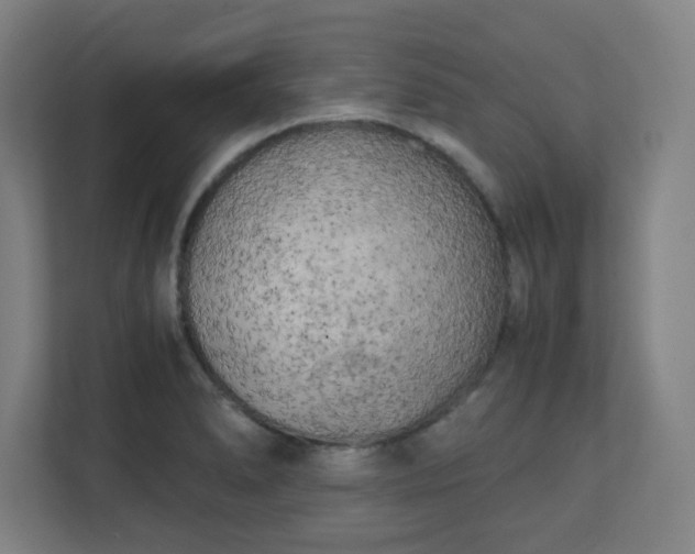 X0000111151278200907071101