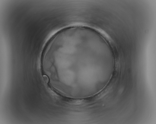 X0000111151279200907071101