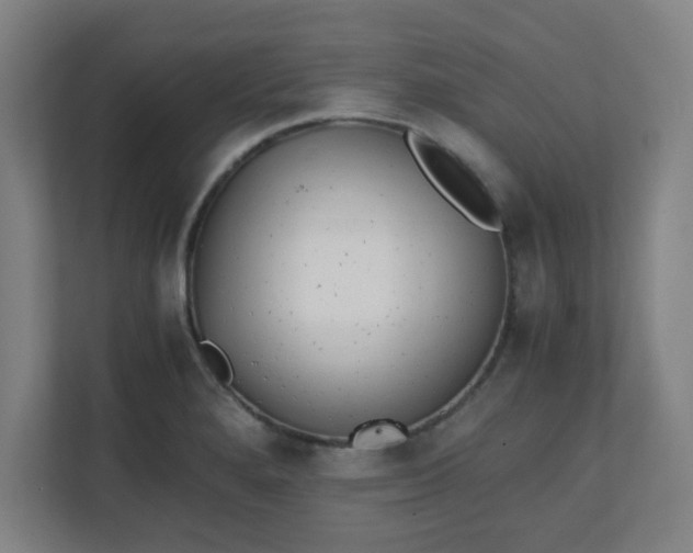 X0000111151280200907071101