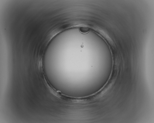 X0000111151281200907071101