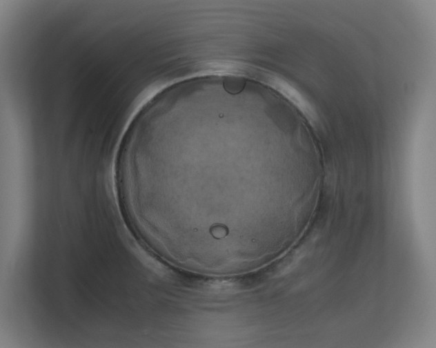 X0000111151283200907071101