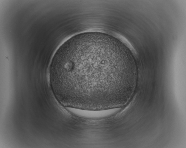 X0000111151284200907071101