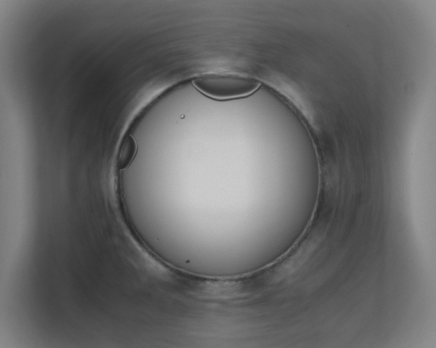 X0000111151285200907071101