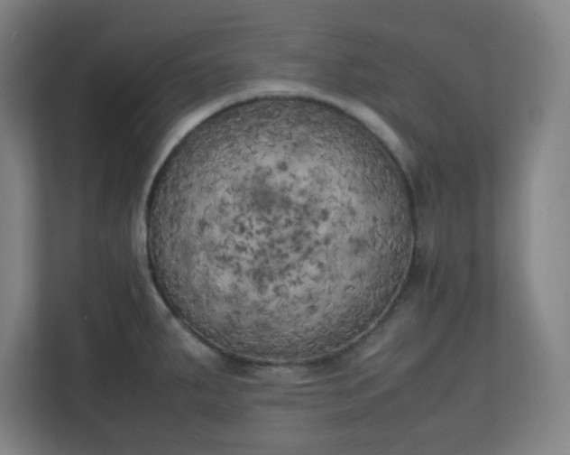 X0000111151287200907071101