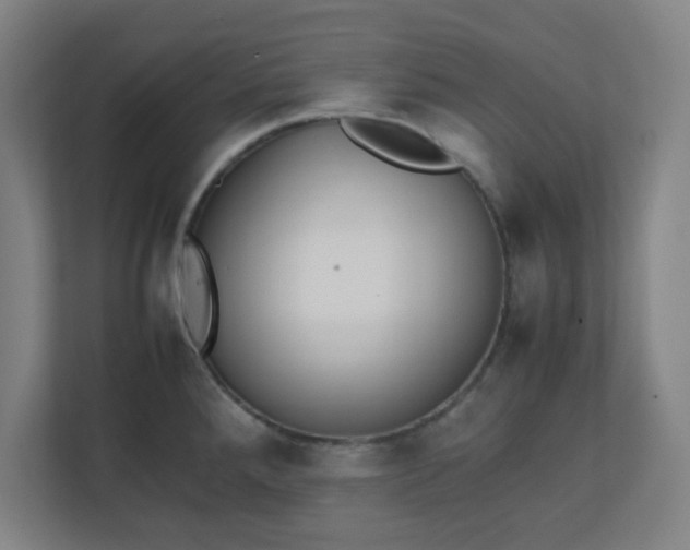 X0000111151288200907071101
