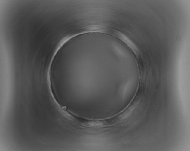 X0000111151291200907071101