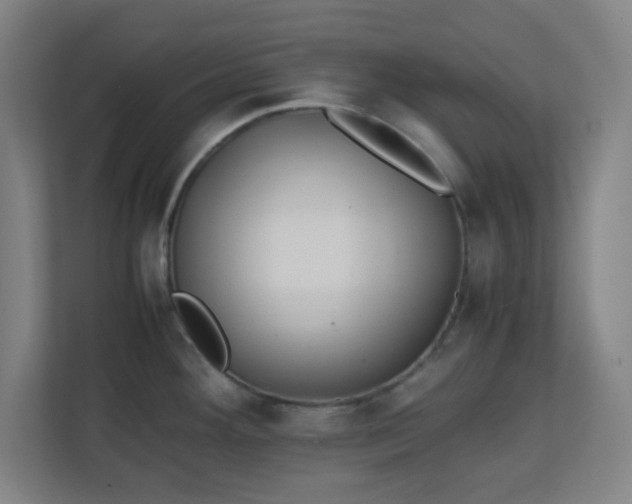 X0000111151292200907071101