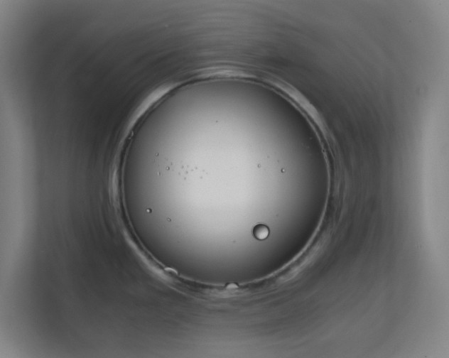 X0000111151293200907071101