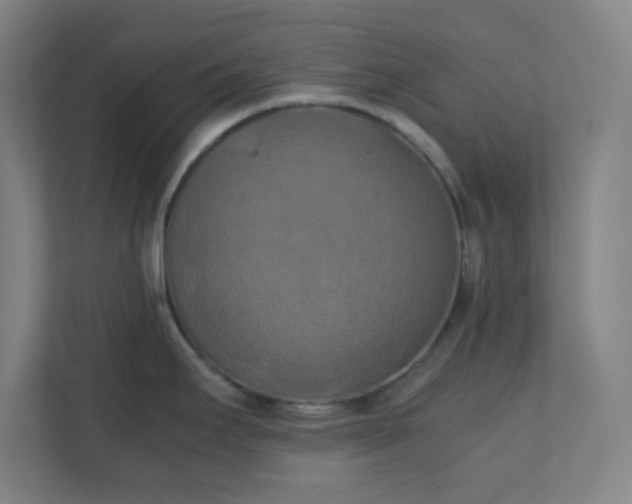 X0000111151295200907071101