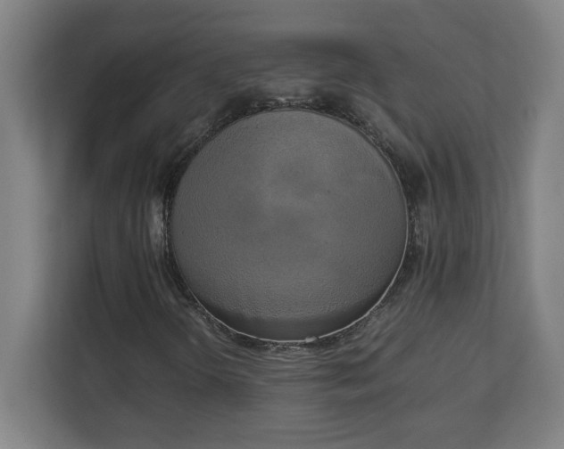 X0000111151298200907071101