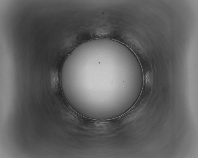 X0000111151299200907071101