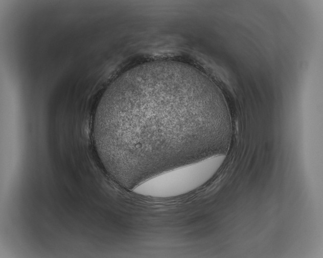 X0000111151300200907071101