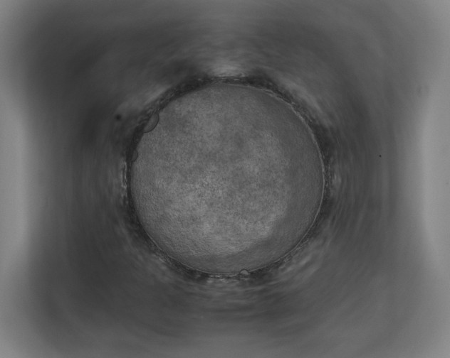 X0000111151301200907071101