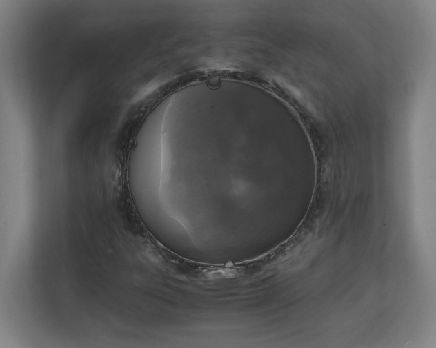 X0000111151303200907071101