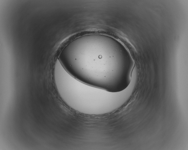 X0000111151304200907071101